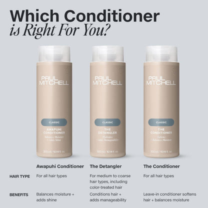 ครีมนวด ผมแห้ง จากการทำเคมี Paul Mitchell The Detangler Conditioner