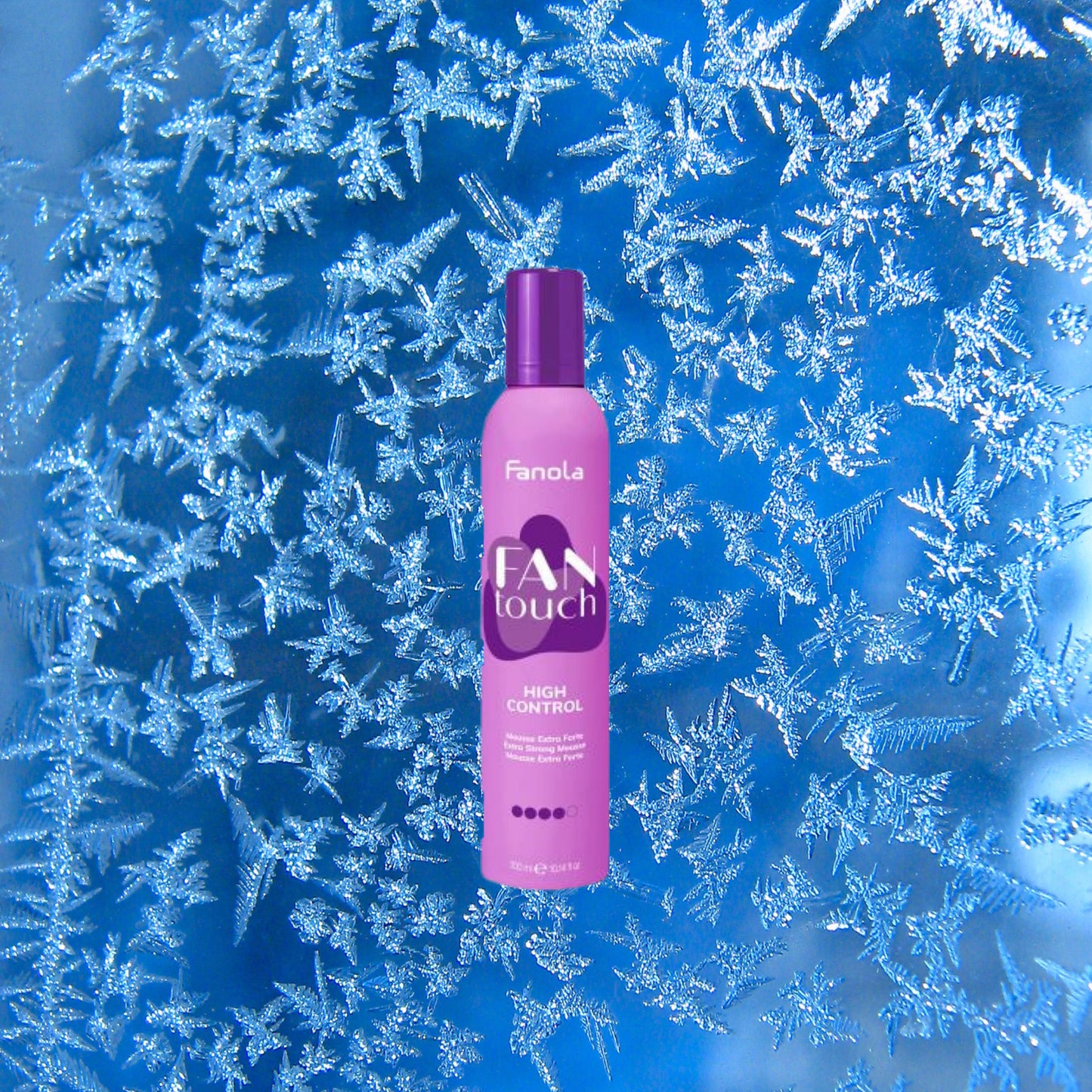 มูสจัดแต่งผมทุกสไตล์ Fanola Fan Touch High Control