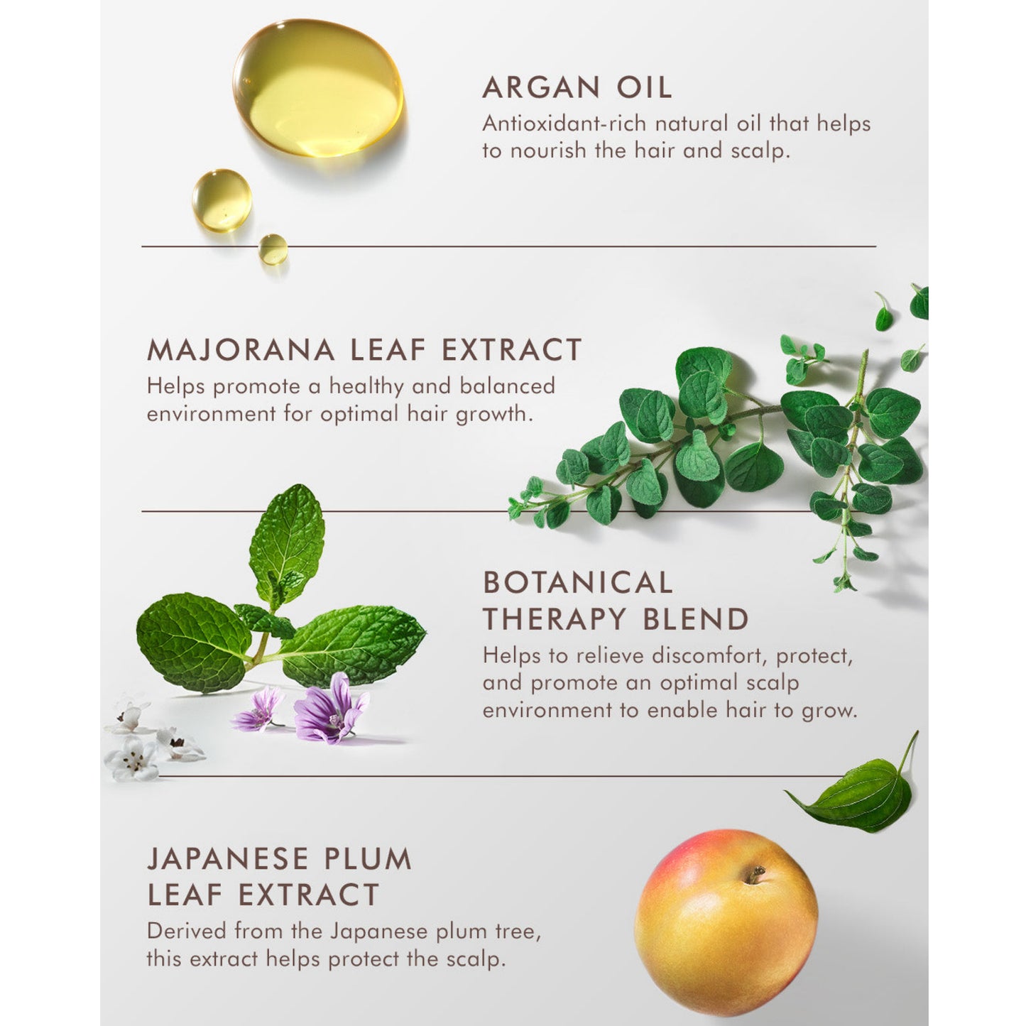 Moroccanoil Scalp Revitalizing Scalp Tonic สกัลป์ โทนิก บำรุงเส้นผมและหนังศรีษะ