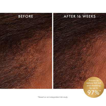 Moroccanoil Scalp Revitalizing Scalp Tonic สกัลป์ โทนิก บำรุงเส้นผมและหนังศรีษะ