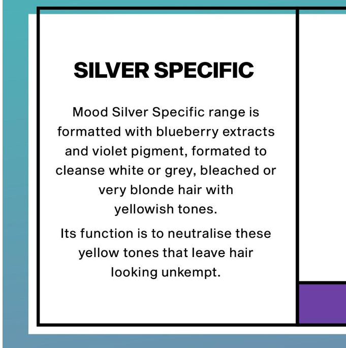 Mood Silver Specific Shampoo - [London Salon]