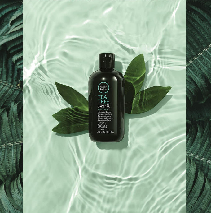 Paul Mitchell Tea Tree Special Shampoo, Deep Cleans, Refreshes Scalp - [London Salon]